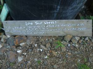 love your weeds