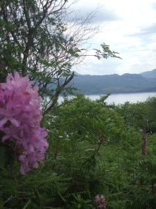 view off the headlands